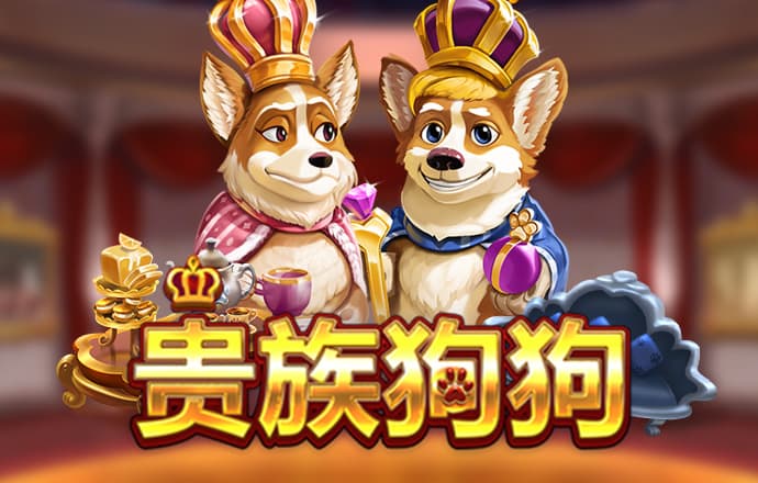 55世纪官网入口